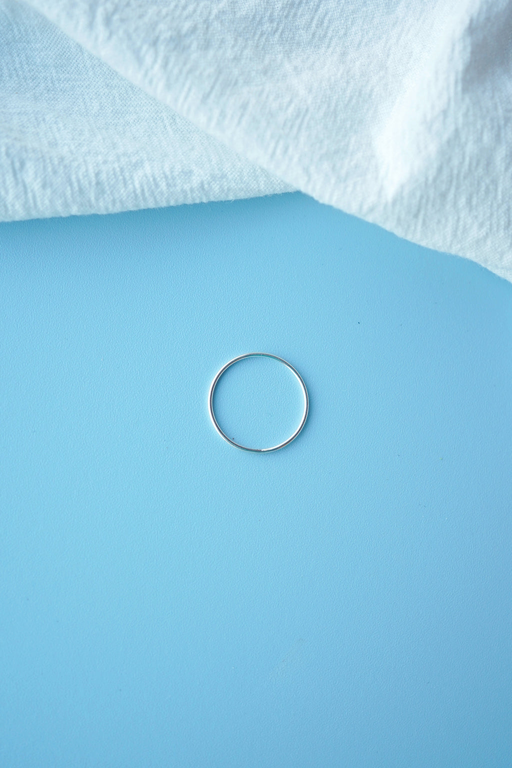 Silver Accent — DSC01914.JPG