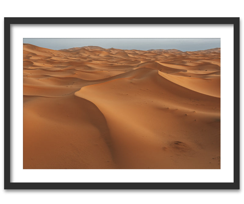 Sahara